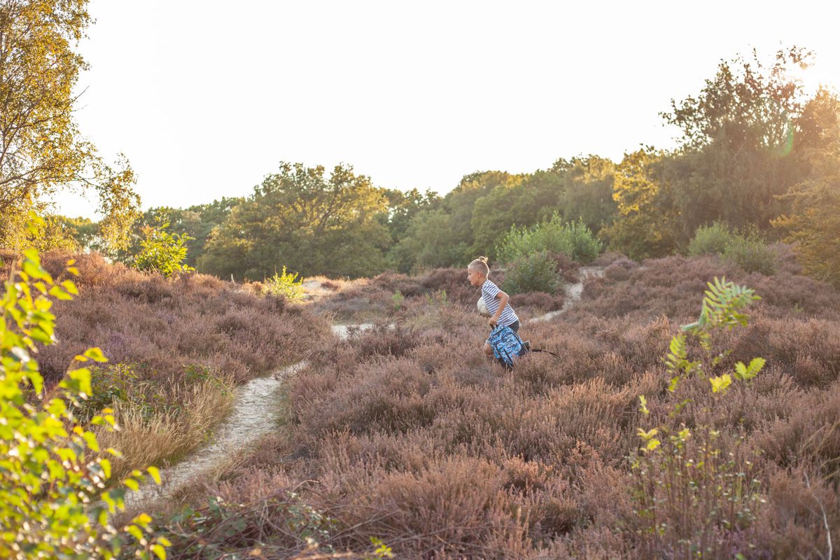 Group cover image